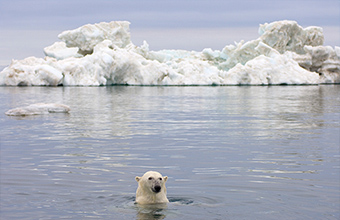 Ecologically & Biologically Significant Marine Areas