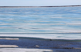 Marine Protected Areas