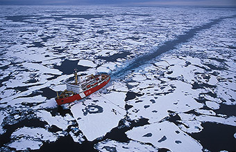 Credit: © Paul Nicklen/National Geographic Stock / WWF-Canada
