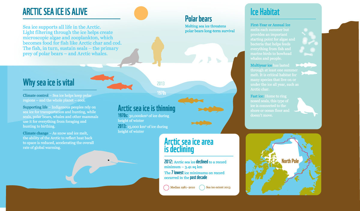 climate change infographic arctic ice