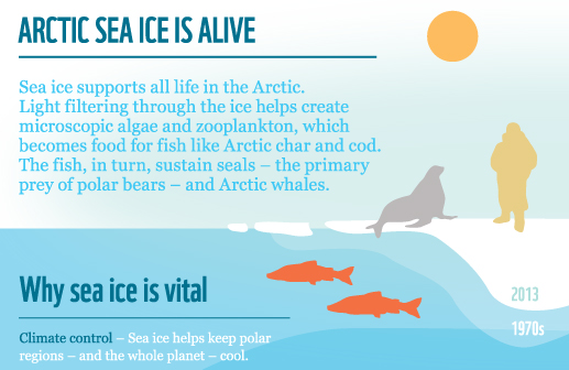 climate change infographic arctic ice climate change infographic arctic ice