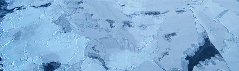 Sea ice
© Vicki Sahanatien
© Vicki Sahanatien
