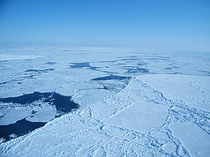 The importance of sea ice / ©: WWF-Canada / ©: WWF-Canada