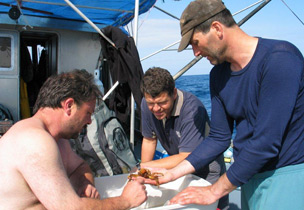 Dive members of the 2003 expedition examine an unusual moss crab found on Bowie. / ©: Neil McDaniel/WWF-Canada / ©: Neil McDaniel/WWF-Canada