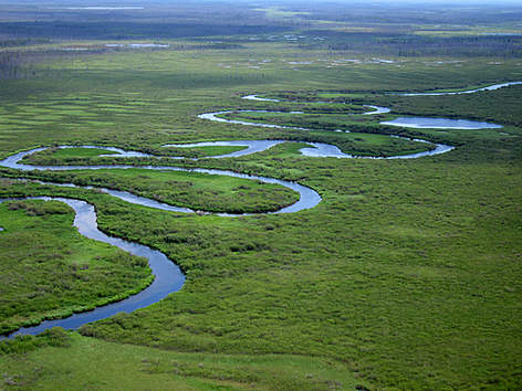 Years of consultation, assessment, and accommodation could go to waste if protection doesn’t extend ...
© J. Lariviere rel=