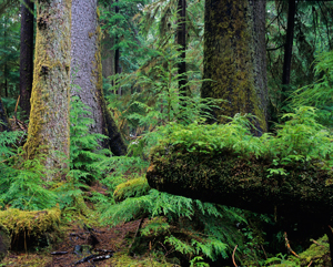  / &copy;: Garth Lenz/WWF-Canada