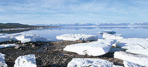  / &copy;: Lee NARRAWAY / WWF-Canada