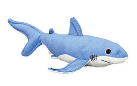 Blue shark
© WWF-Canada Blue shark
© WWF-Canada