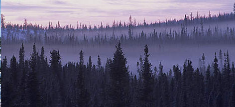  / &copy;: Tessa MACINTOSH / WWF-Canada