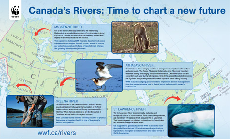  / &copy;: WWF-Canada