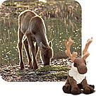 WWF-Canada / &copy;: WWF-Canada
