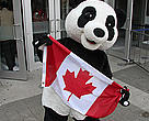 Panda in front of the CN Tower holding the Canadian Flag