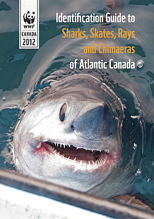Identification Guide to Sharks, Skates, Rays and Chimaeras of Atlantic Canada
Cover Shark ID Guide ... / ©: Steven Campana / ©: Steven Campana