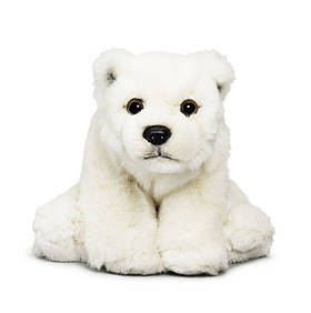 polar bear adoption
© wwf-canada
© wwf-canada