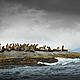 © Andrew S. Wright / WWf-Canada