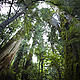 © Andrew S. Wright / WWf-Canada