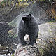 © Natalie Bowes / WWF-Canada