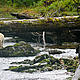 © Natalie Bowes / WWF-Canada