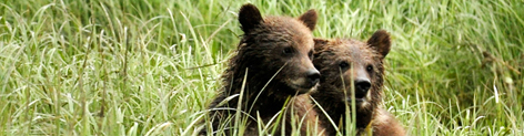  / &copy;: Andrew S. Wright / WWF-Canada