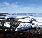  / &copy;: Lee NARRAWAY / WWF-Canada