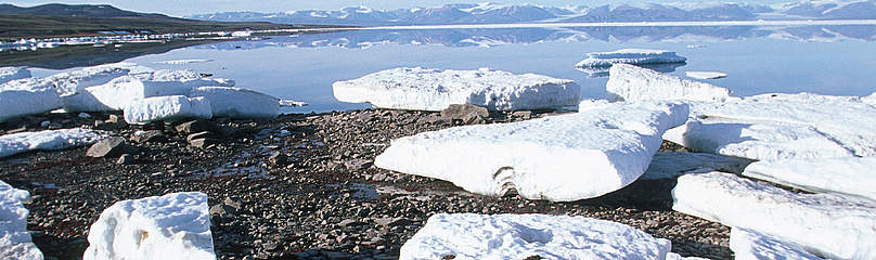 Sea ice on the shores of north Baffin Island, Nunavut, Canada. / ©: Lee NARRAWAY / WWF-Canada / ©: Lee NARRAWAY / WWF-Canada