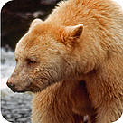  / &copy;: Tim Stewart/ WWF-CanadaWWF-Canada
