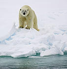  / &copy;: Sindre Kinnerød / WWF-Canon