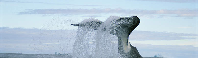 Bowhead whale at Isabella Bay, also known as Niginganiq, Nunavut, Canada.
© Paul Nicklen/National Geographic Stock / WWF-Canada
© Paul Nicklen/National Geographic Stock / WWF-Canada