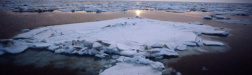 Sea ice beneath midnight sun in June in the Bering Sea. / ©: Kevin SCHAFER / WWF-Canon / ©: Kevin SCHAFER / WWF-Canon