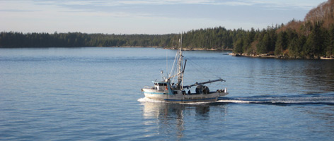  / &copy;: Jennifer Rice / WWF-Canada