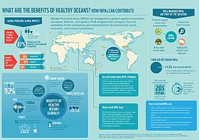 Marine Protected Area infographic
© WWF Canada
© WWF Canada