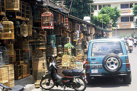 Typical bird market, Indonesia (Orang-utans and Gibbons continue to be sold from such markets). / ©: TRAFFIC SE Asia/Chris R. Shepherd / ©: TRAFFIC SE Asia/Chris R. Shepherd
