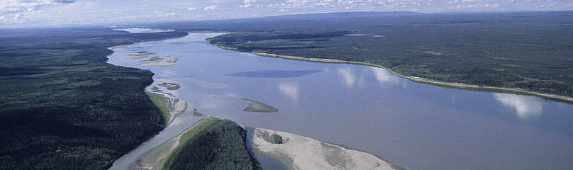 Aerial of the Mackenzie River upstream from Fort Simpson, Northwest Territories, Canada.
© Tessa MACINTOSH / WWF-Canada
© Tessa MACINTOSH / WWF-Canada