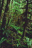  / &copy;: Frank PARHIZGAR / WWF-Canada
