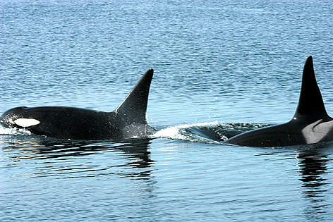  / &copy;: Alan BURGER / WWF-Canada
