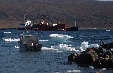 / ©: Peter Ewins / WWF-Canada