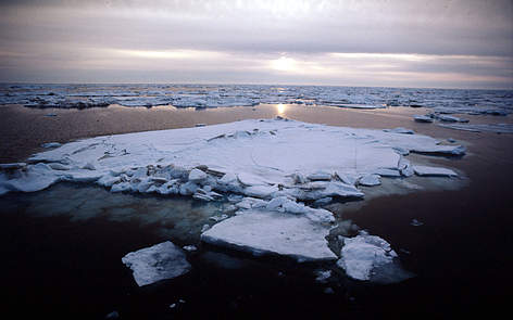 Sea ice beneath midnight sun in June in the Bering Sea off St. Matthew Island Alaska, United States ... / ©: Kevin Schafer / WWF-Canon / ©: Kevin Schafer / WWF-Canon
