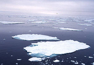  / &copy;: Kevin SCHAFER / WWF-Canon