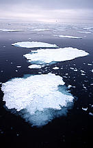  / &copy;: Kevin SCHAFER / WWF-Canon