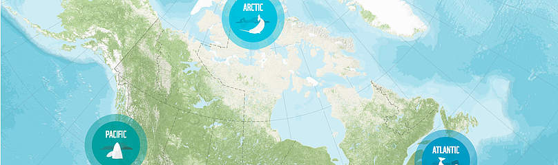 Ocean Planning
© WWF Canada
© WWF Canada