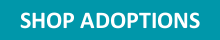 Shop adoptions