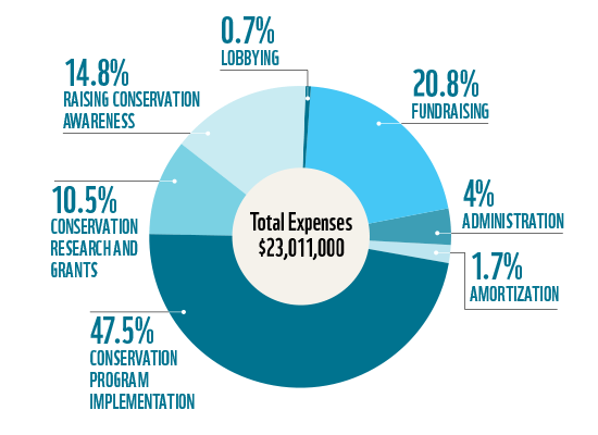 How we applied our funds