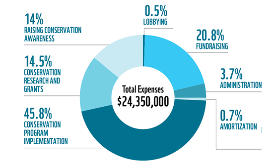 How we applied our funds