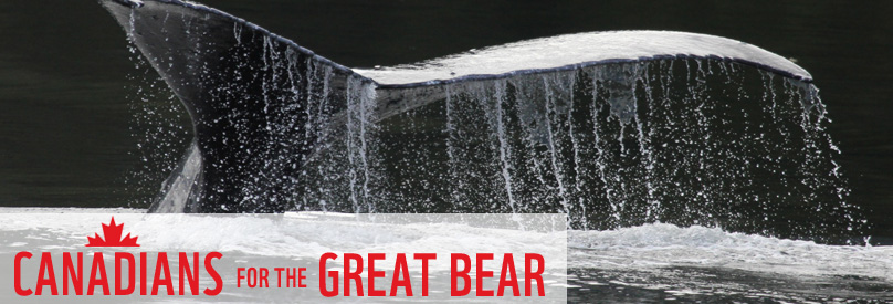 Canadian for the Great Bear