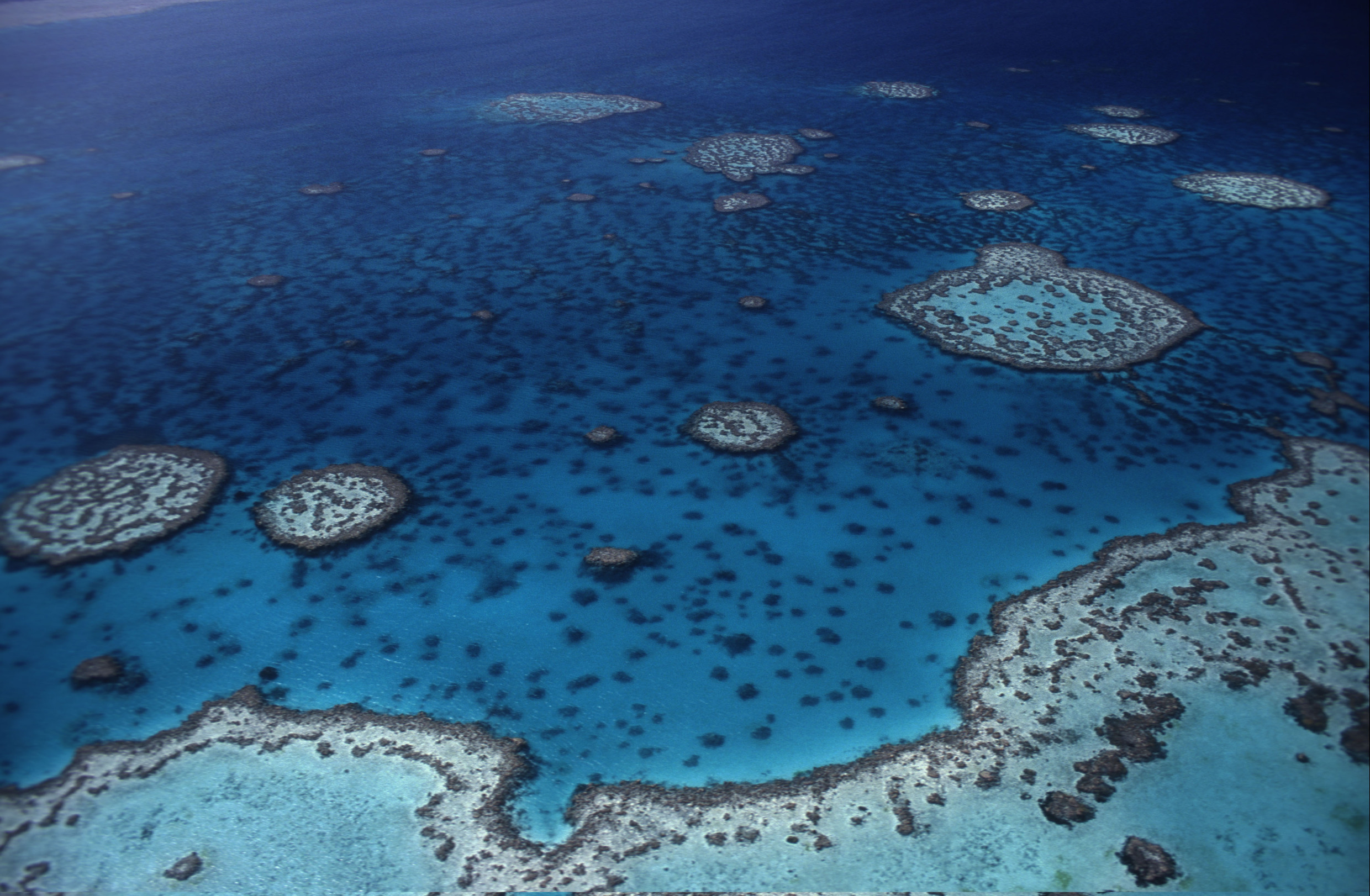 Great Barrier Reef At Risk Of Becoming Dumping Ground Wwf Canada