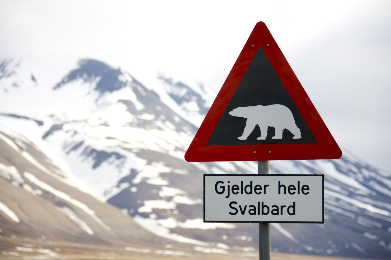 Voyage for the Future 2008, Spitsbergen, Norway / ©: WWF-Canon / Sindre Kinnerød