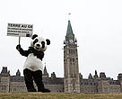 WWF Panda holds climate change message in front of Parliament 