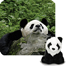  / &copy;: WWF-Canada/Bernard De Wetter