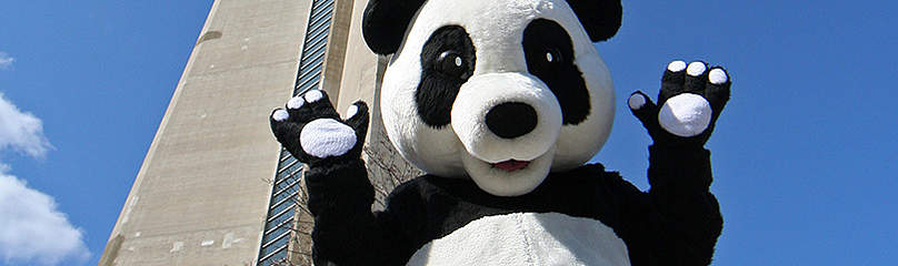 panda at CN tower
© WWF-Canada
© WWF-Canada