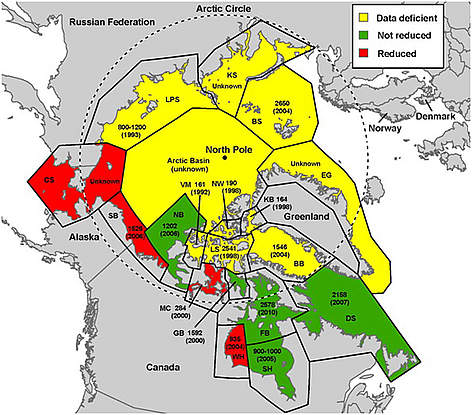  / &copy;: © D. Vongraven and E. Richardson, 2011: Biodiversity - Status and Trends of Polar Bears [in Arctic Report Card 2011],